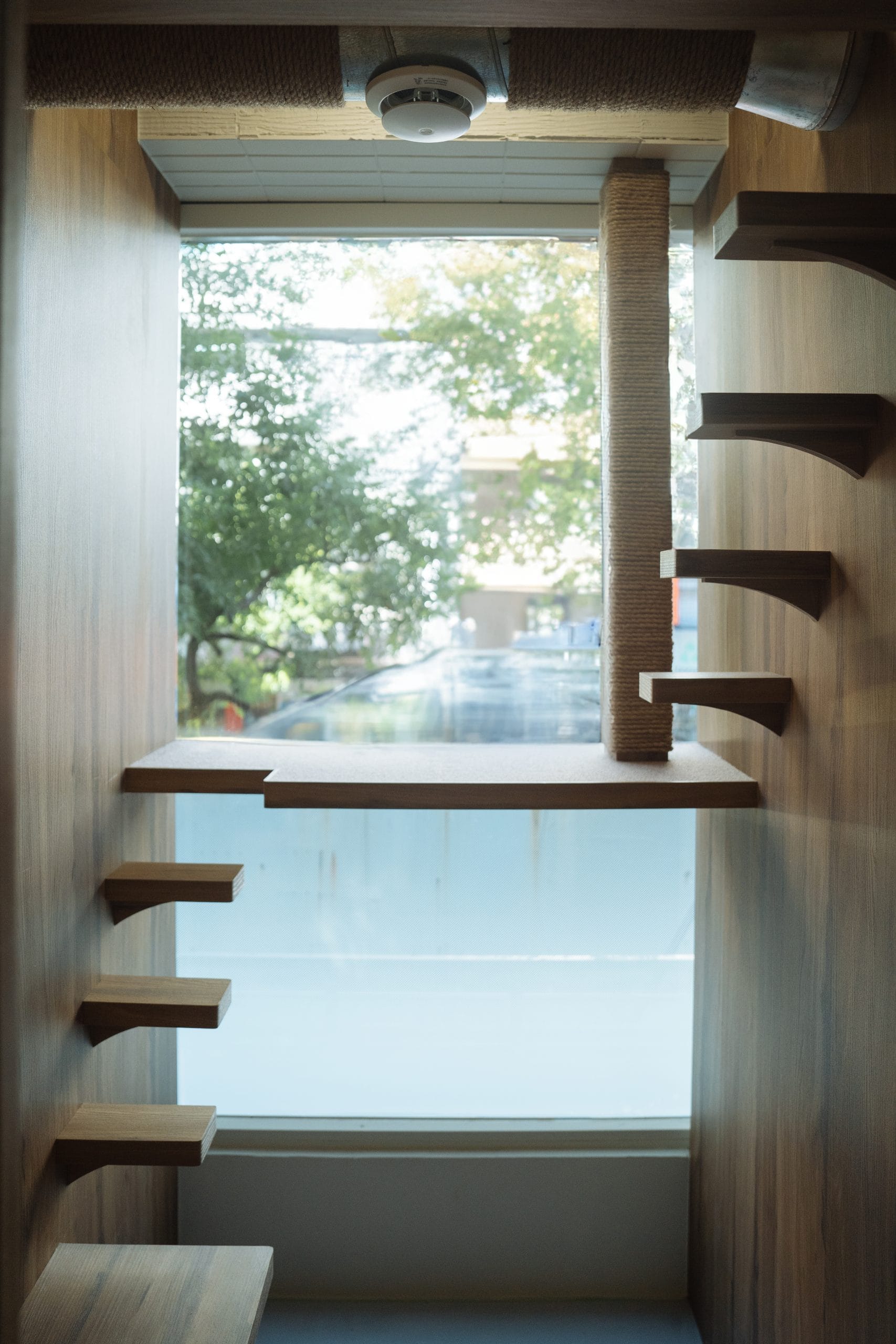 獨立抽風冷暖空調