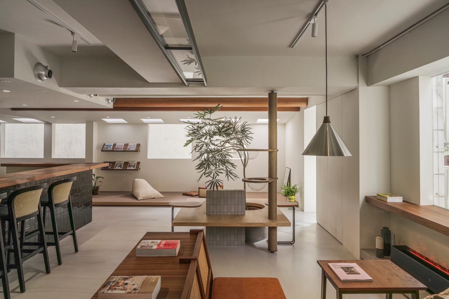 順應貓性打造貓的爬樹天堂 2